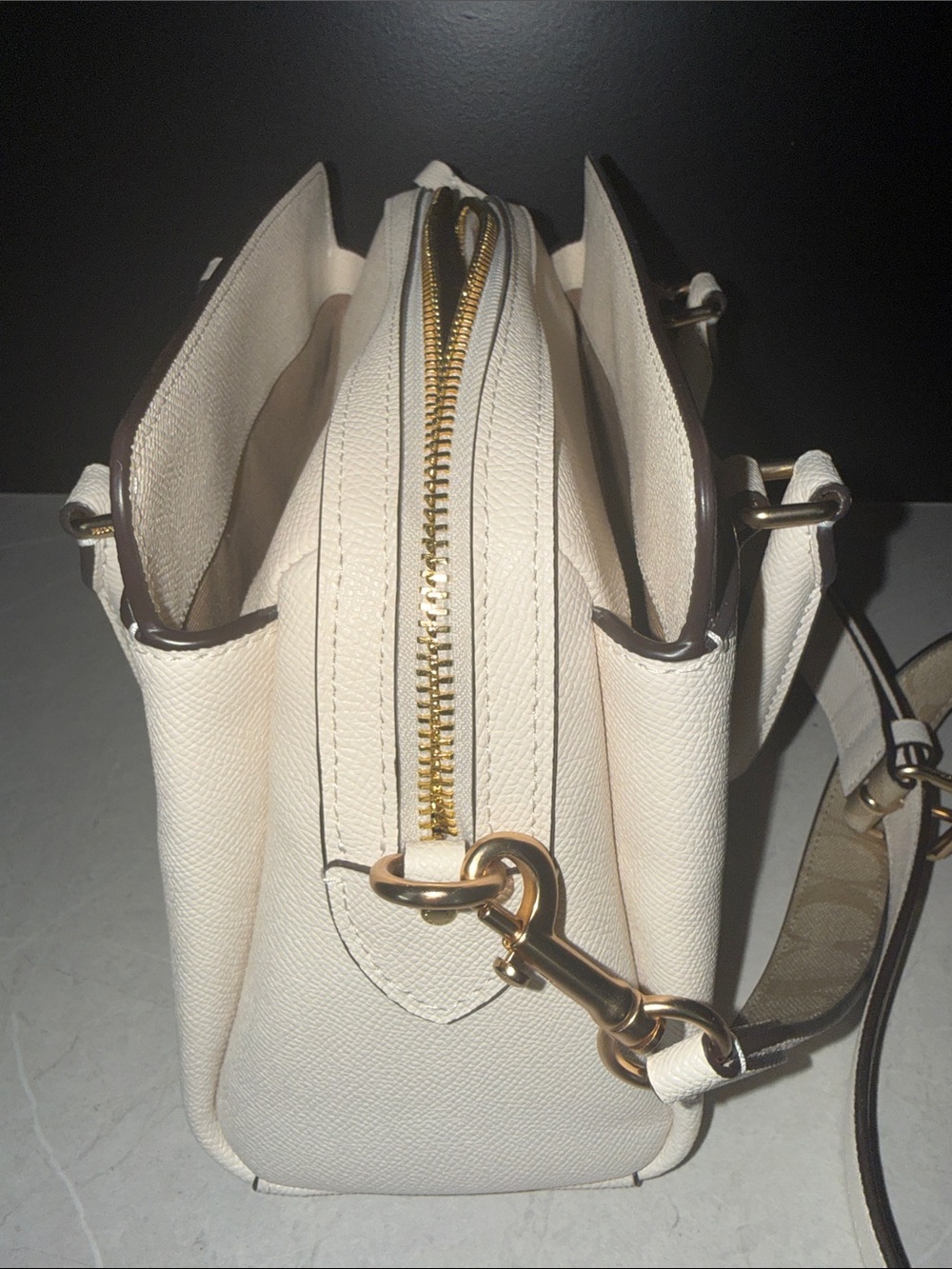 Coach Mini Darcy Carryall with Gold Hardware - Picture 10 of 11